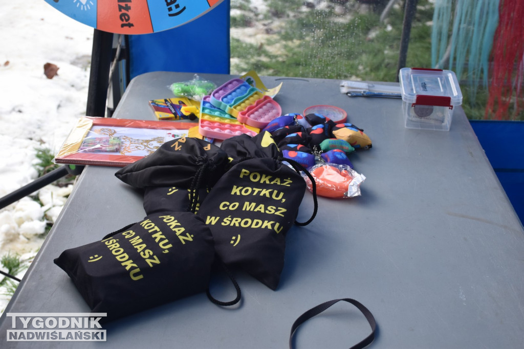 Festiwal Lodu i Ognia