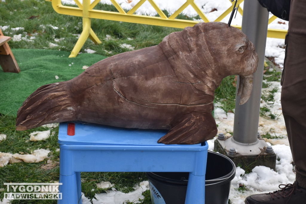 Festiwal Lodu i Ognia