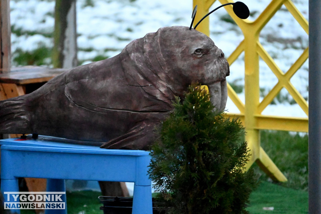 Festiwal Lodu i Ognia nad Jeziorem Tarnobrzeskim