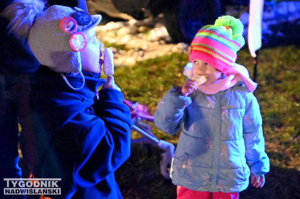 Festiwal Lodu i Ognia nad Jeziorem Tarnobrzeskim