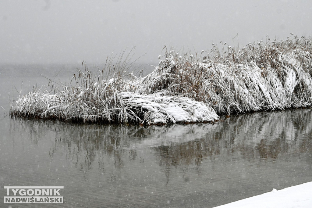 Śnieżne Jezioro Aniołów nad Jeziorem Tarnobrzeskim