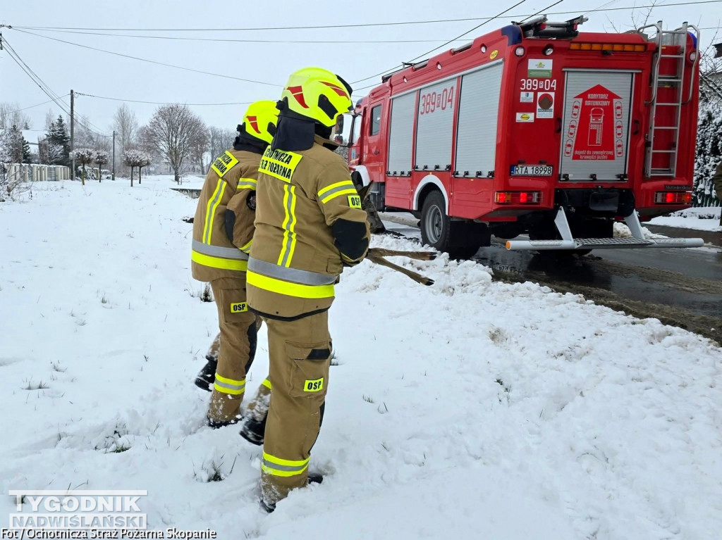 Strażacy ze Skopania uratowali młodą sarnę