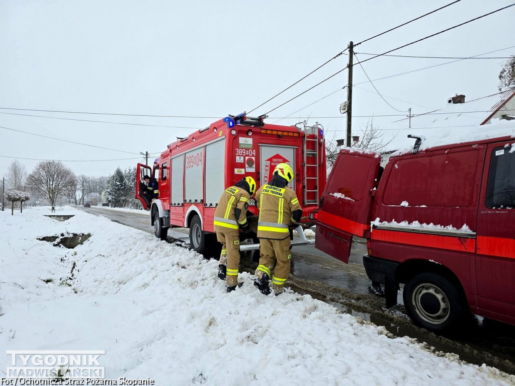 Strażacy ze Skopania uratowali młodą sarnę