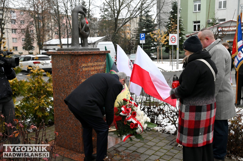 Nadanie imienia PCK skwerowi w Tarnobrzegu