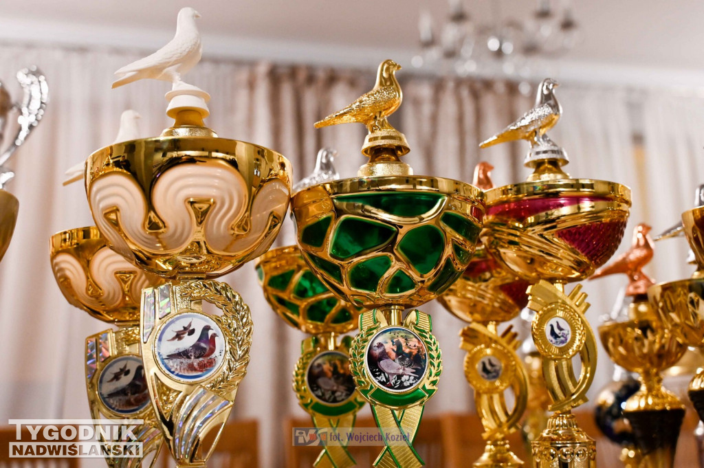 Hodowcy gołębi pocztowych z Tarnobrzega po sezonie