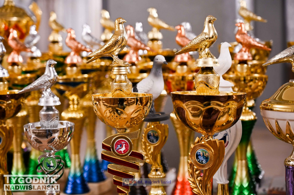 Hodowcy gołębi pocztowych z Tarnobrzega po sezonie