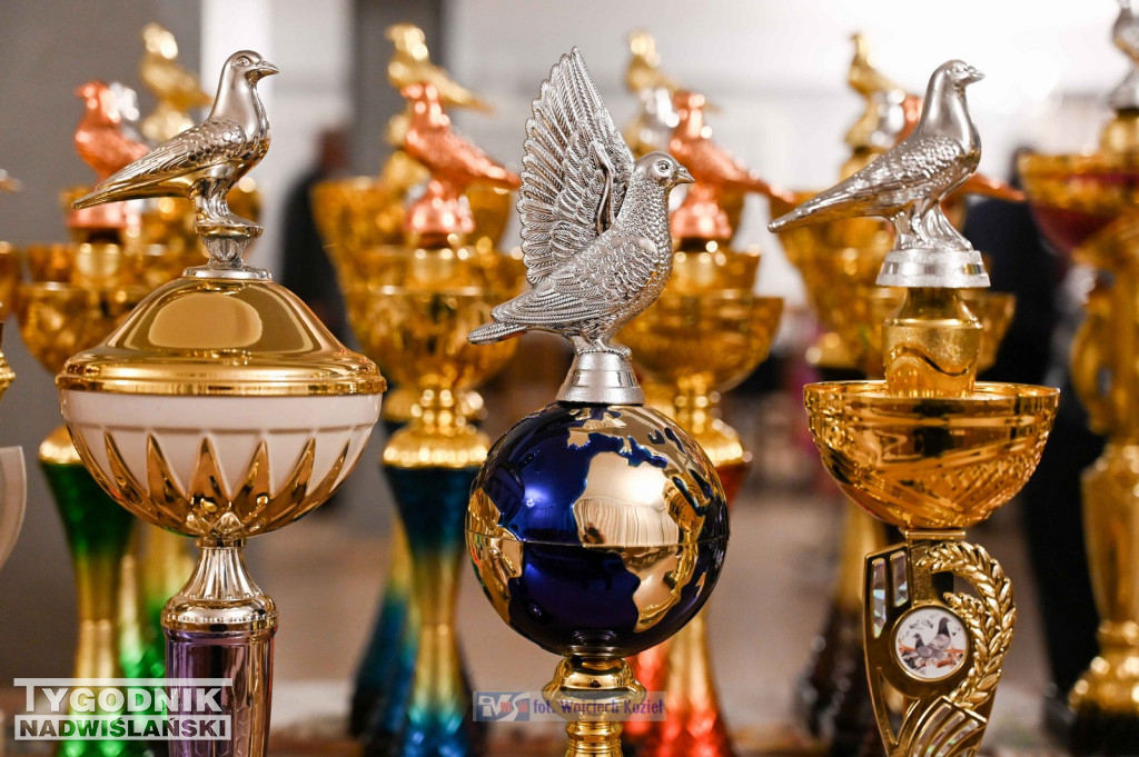 Hodowcy gołębi pocztowych z Tarnobrzega po sezonie