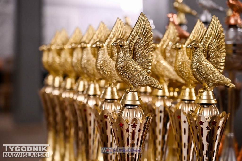 Hodowcy gołębi pocztowych z Tarnobrzega po sezonie