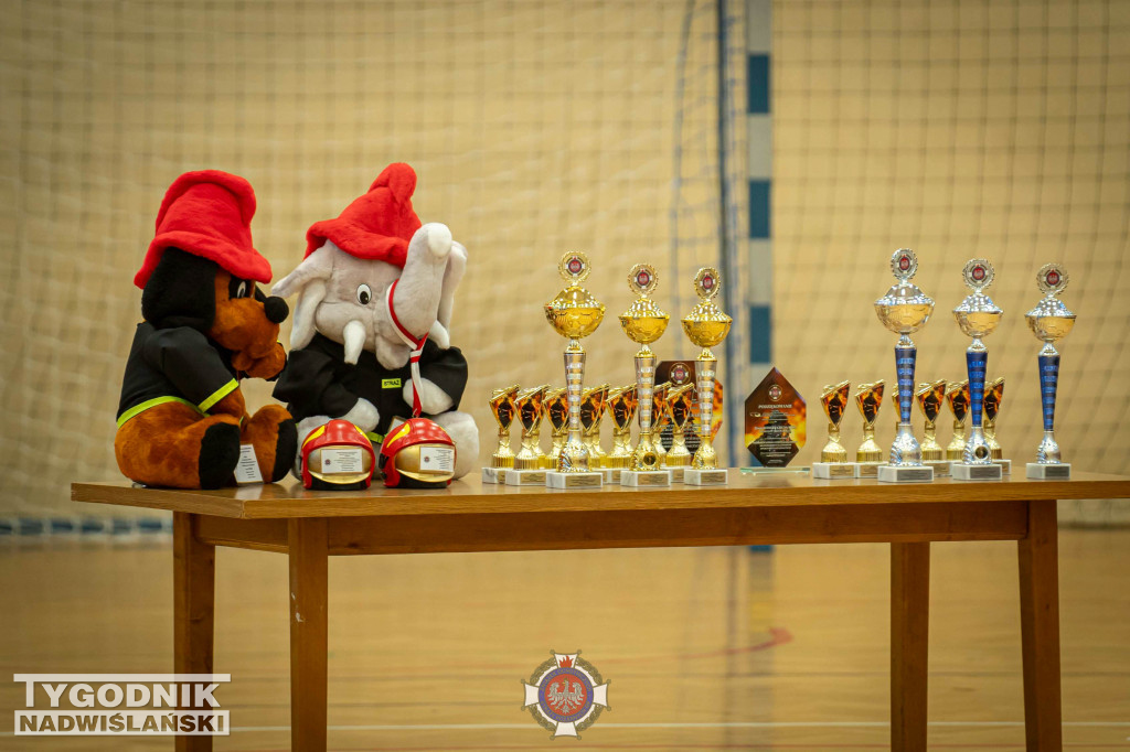 I Halowe Zawody MDP w Rudniku nad Sanem