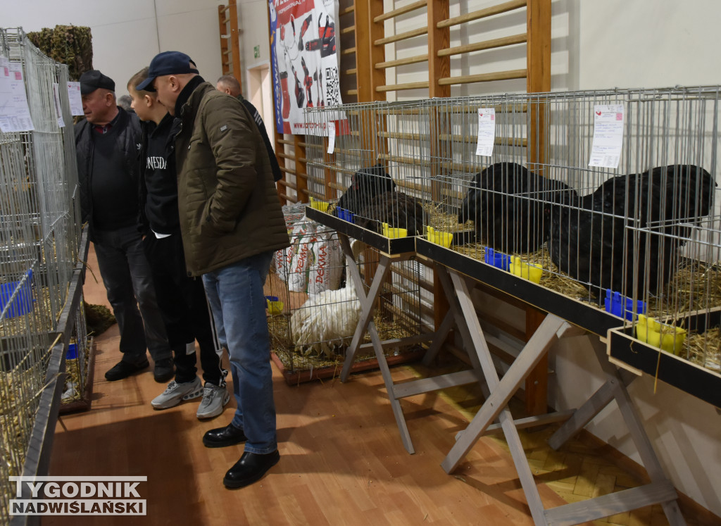 Wystawa gołębi, drobiu  i ptaków egzotycznych