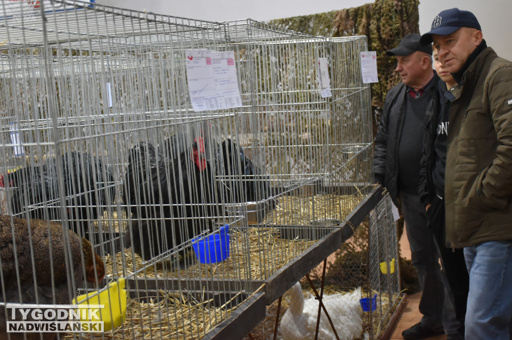 Wystawa gołębi, drobiu  i ptaków egzotycznych