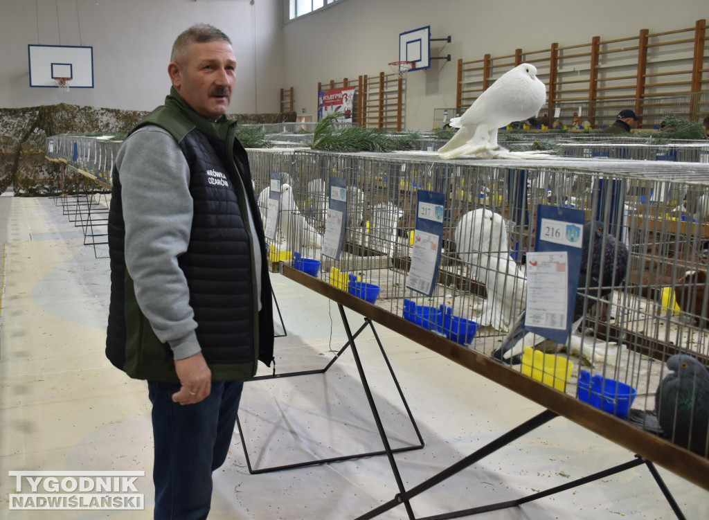 Wystawa gołębi, drobiu  i ptaków egzotycznych