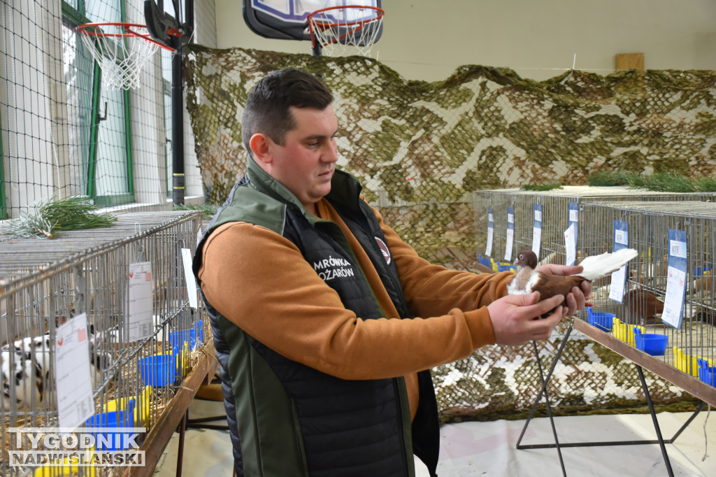 Wystawa gołębi, drobiu  i ptaków egzotycznych