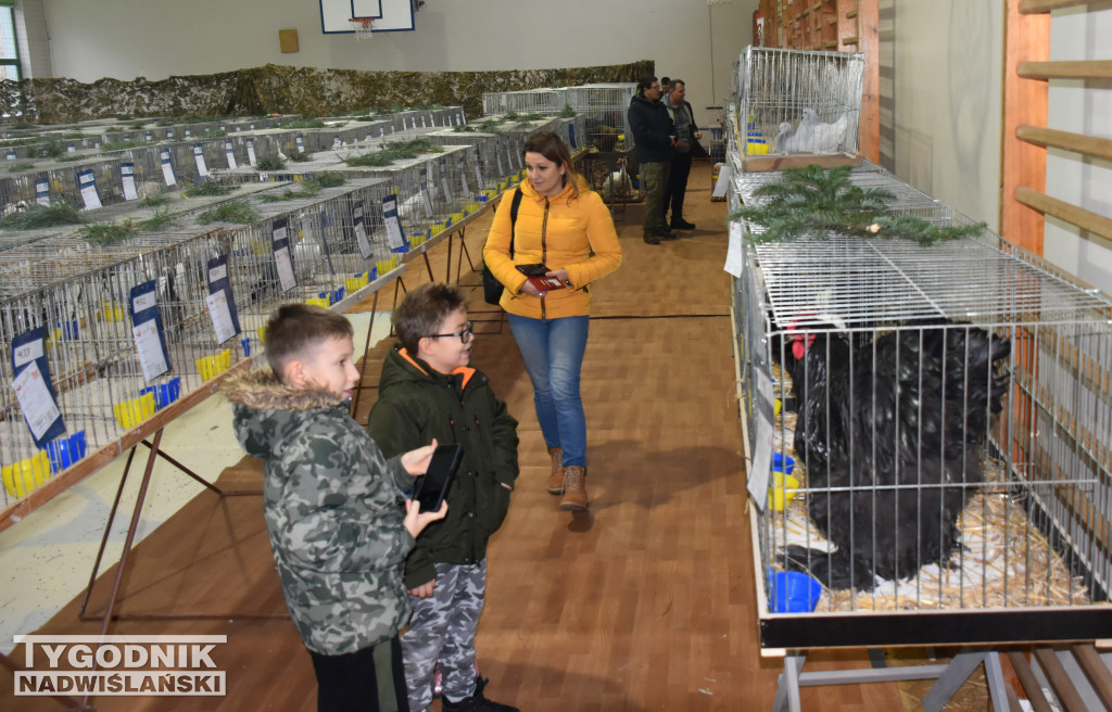 Wystawa gołębi, drobiu  i ptaków egzotycznych