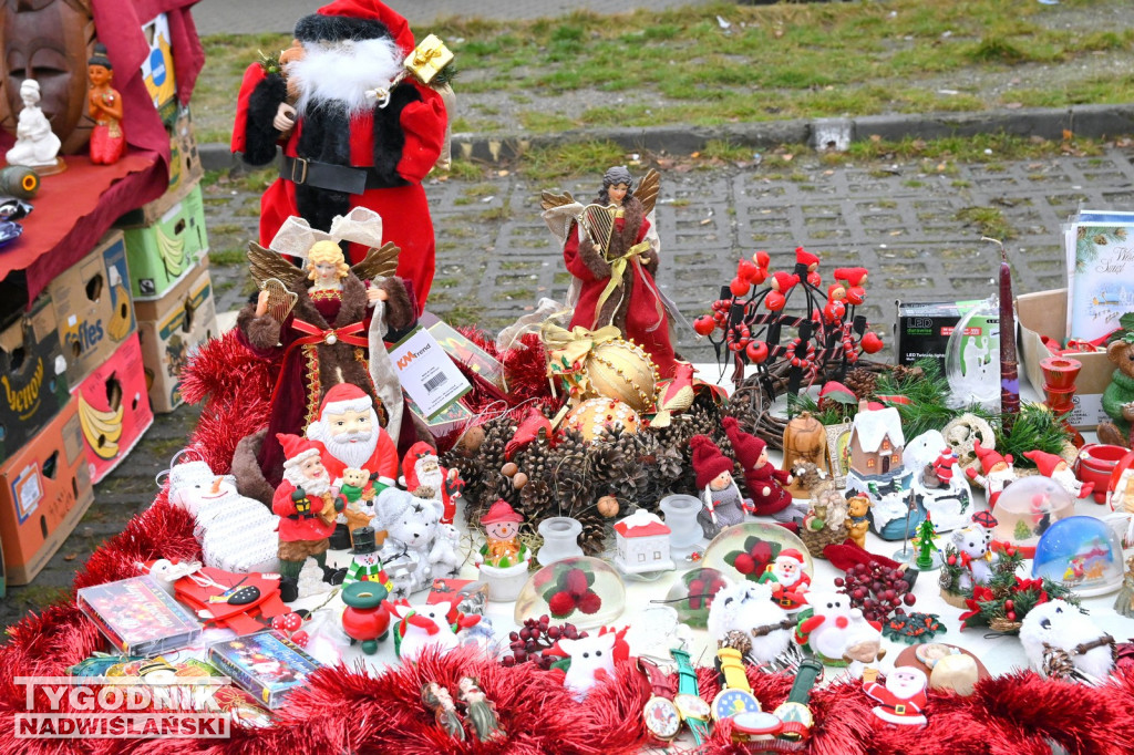 Pchli Targ w Tarnobrzegu - listopad 2025