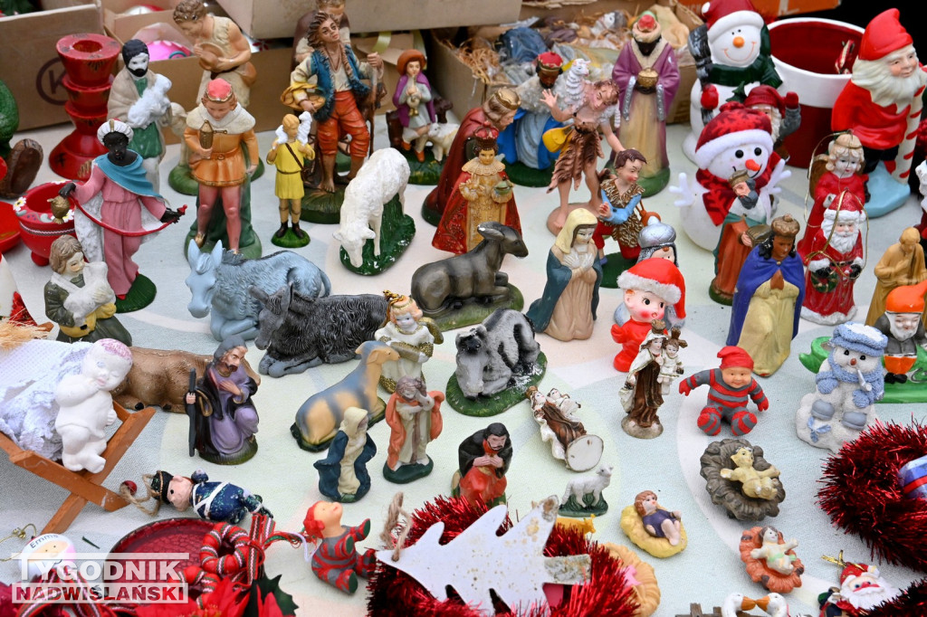 Pchli Targ w Tarnobrzegu - listopad 2025