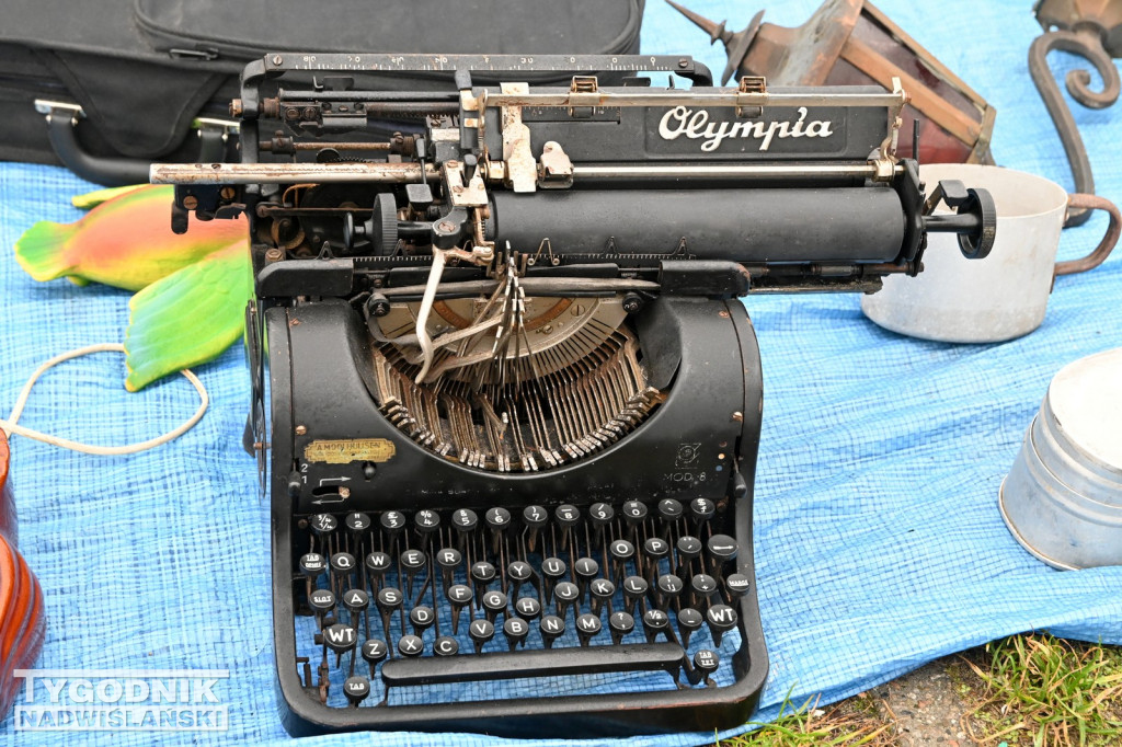 Pchli Targ w Tarnobrzegu - listopad 2025