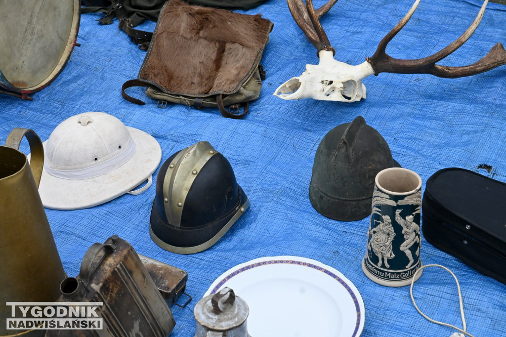 Pchli Targ w Tarnobrzegu - listopad 2025