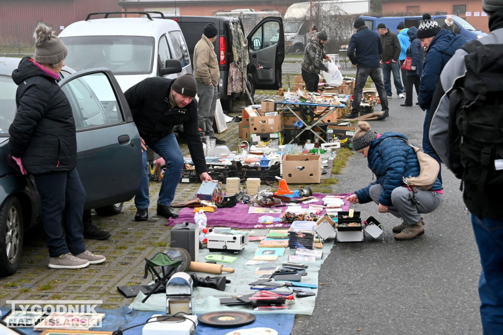 Pchli Targ w Tarnobrzegu - listopad 2025