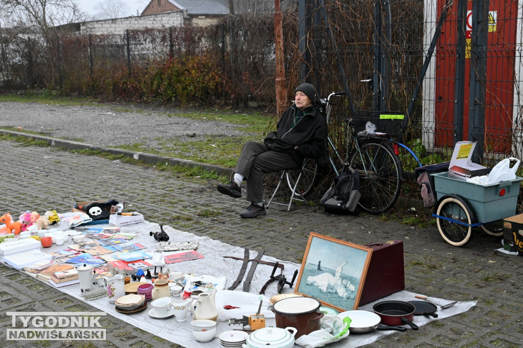 Pchli Targ w Tarnobrzegu - listopad 2025