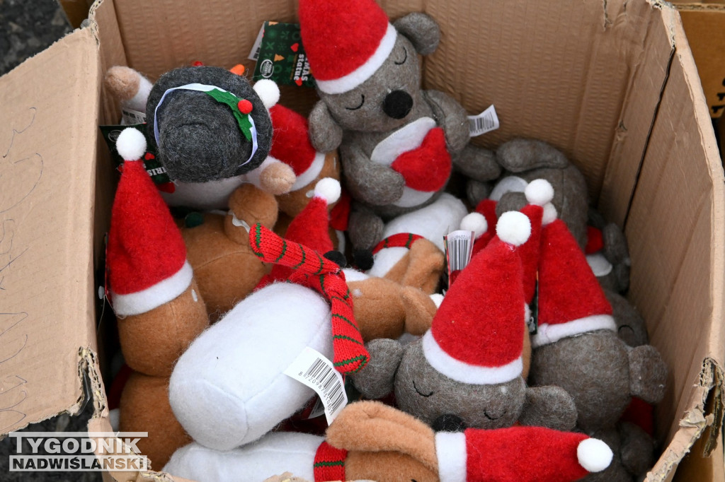 Pchli Targ w Tarnobrzegu - listopad 2025