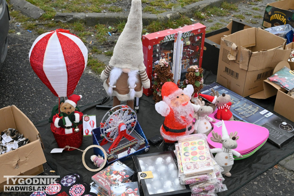 Pchli Targ w Tarnobrzegu - listopad 2025