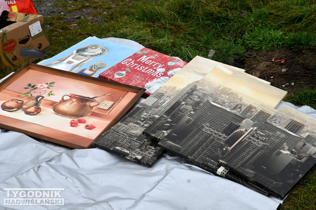 Pchli Targ w Tarnobrzegu - listopad 2025