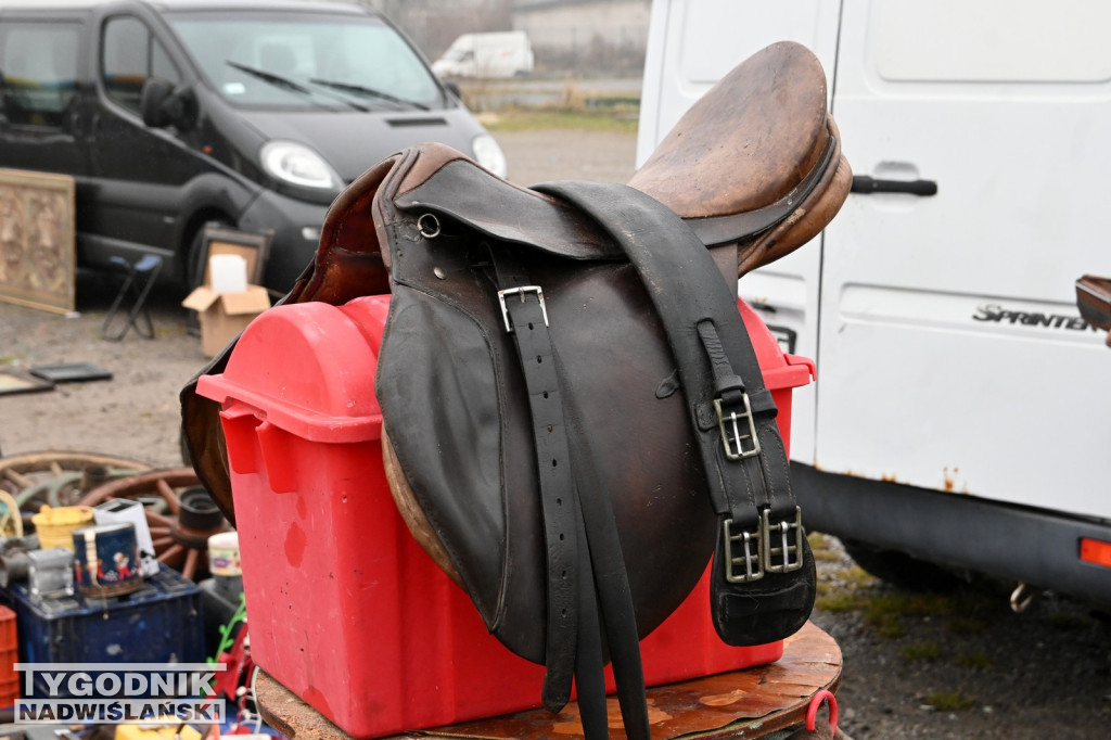 Pchli Targ w Tarnobrzegu - listopad 2025