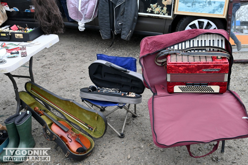 Pchli Targ w Tarnobrzegu - listopad 2025