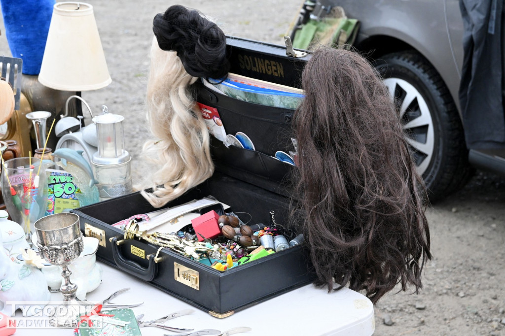 Pchli Targ w Tarnobrzegu - listopad 2025