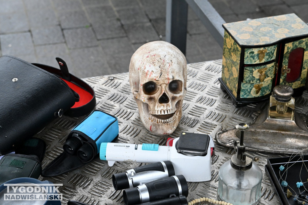 Pchli Targ w Tarnobrzegu - listopad 2025