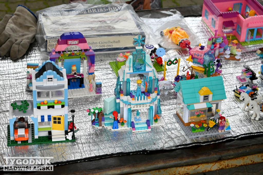 Pchli Targ w Tarnobrzegu - listopad 2025