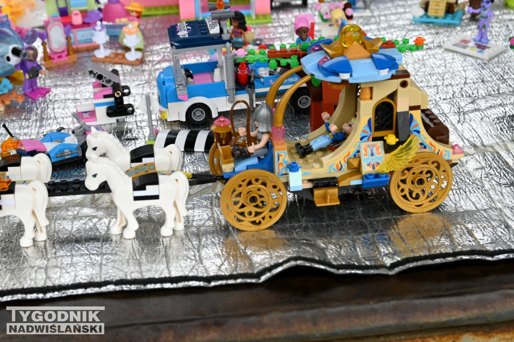 Pchli Targ w Tarnobrzegu - listopad 2025