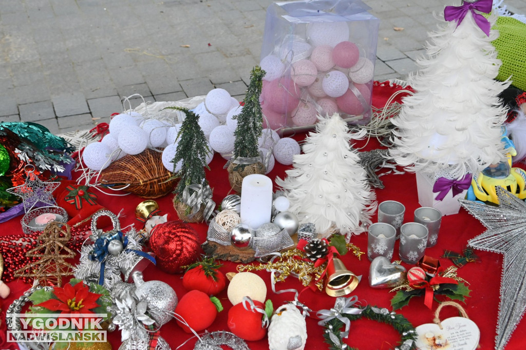 Pchli Targ w Tarnobrzegu - listopad 2025