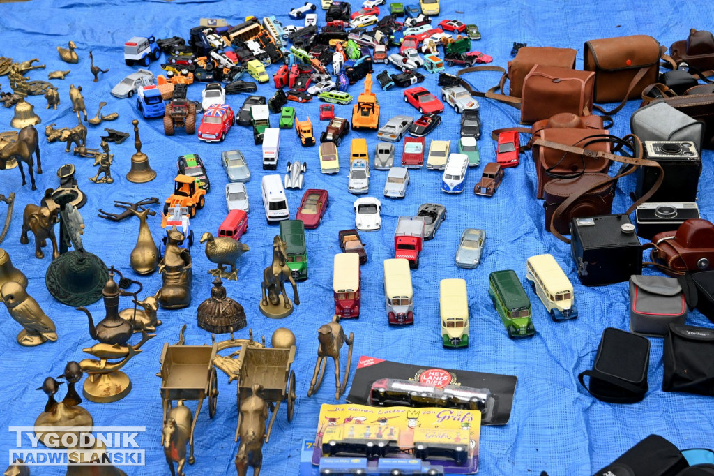 Pchli Targ w Tarnobrzegu - listopad 2025