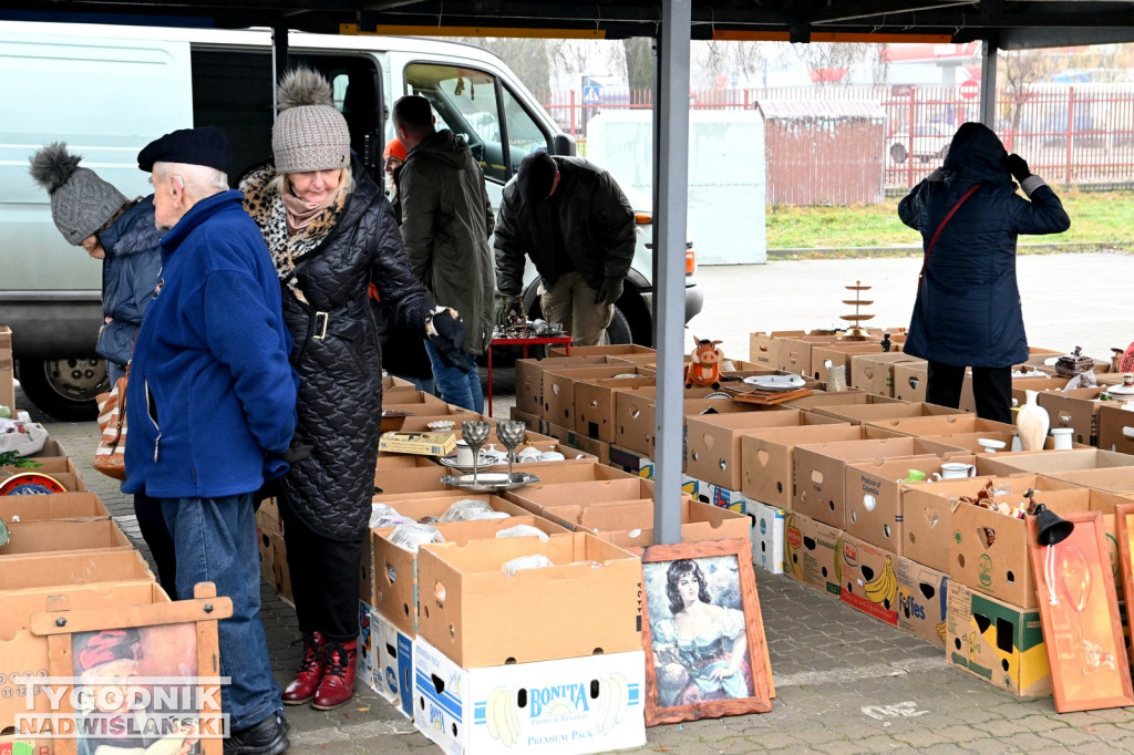 Pchli Targ w Tarnobrzegu - listopad 2025