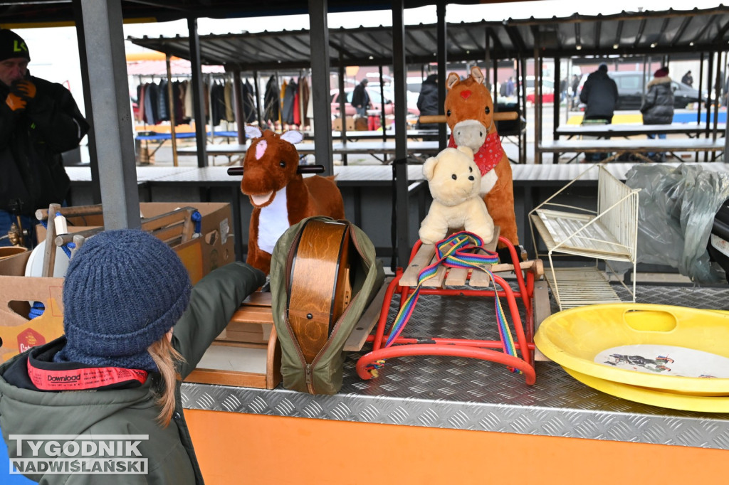 Pchli Targ w Tarnobrzegu - listopad 2025