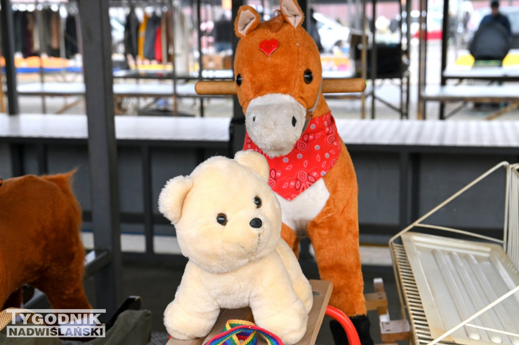 Pchli Targ w Tarnobrzegu - listopad 2025