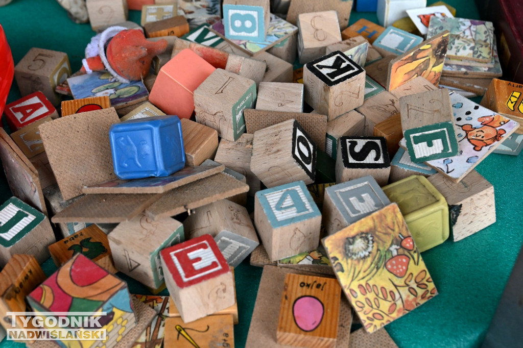 Pchli Targ w Tarnobrzegu - listopad 2025