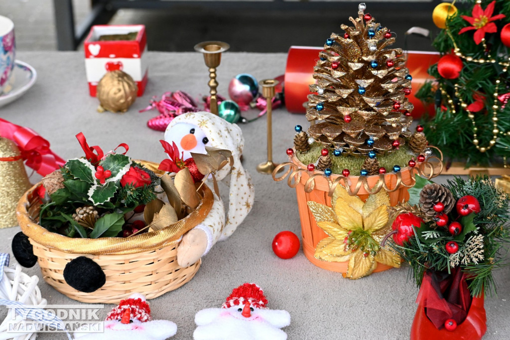 Pchli Targ w Tarnobrzegu - listopad 2025