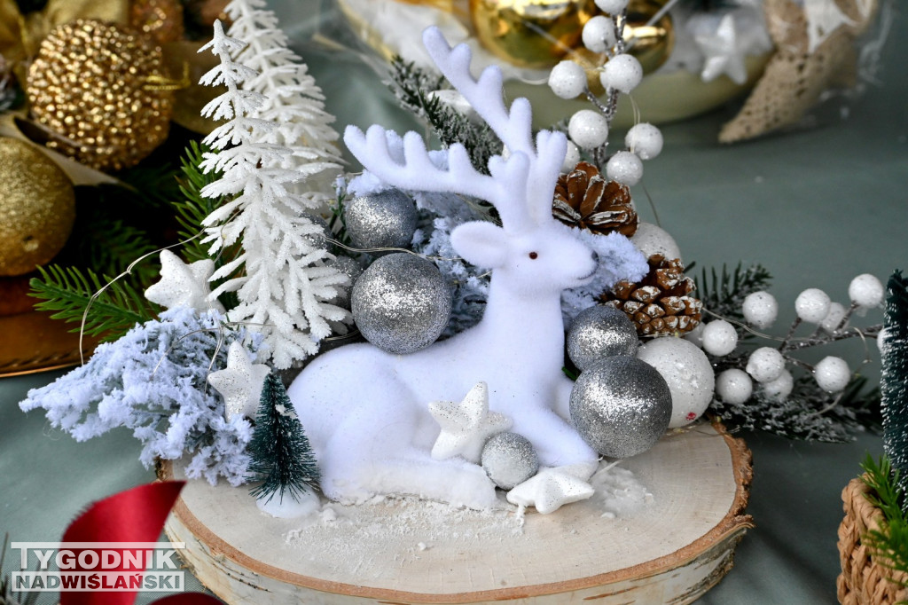 Pchli Targ w Tarnobrzegu - listopad 2025