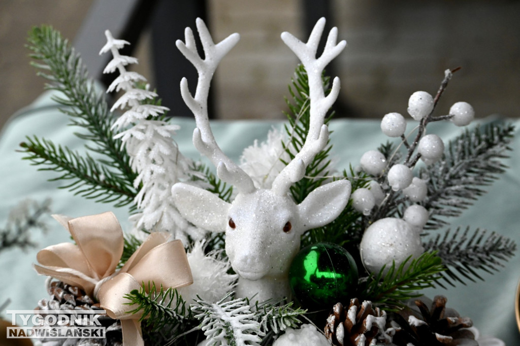 Pchli Targ w Tarnobrzegu - listopad 2025