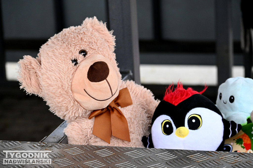 Pchli Targ w Tarnobrzegu - listopad 2025