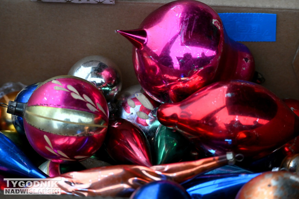 Pchli Targ w Tarnobrzegu - listopad 2025