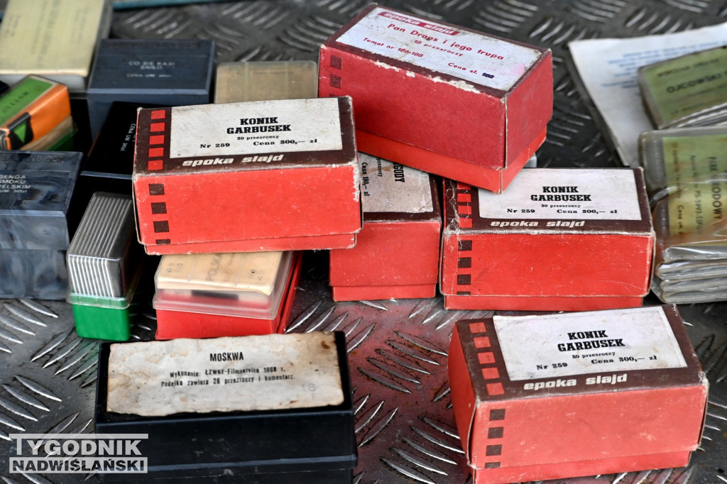 Pchli Targ w Tarnobrzegu - listopad 2025