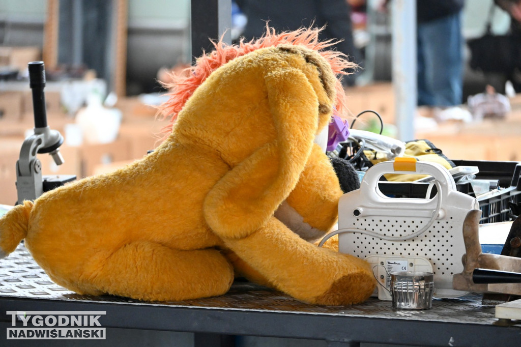 Pchli Targ w Tarnobrzegu - listopad 2025