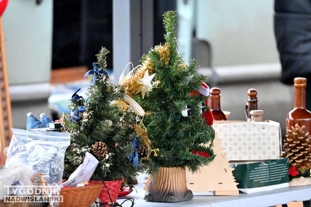 Pchli Targ w Tarnobrzegu - listopad 2025