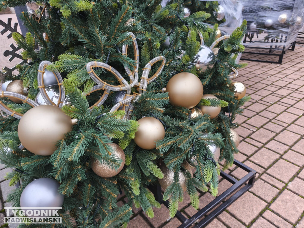 Ustawianie choinki na Pl. Bartosza Głowackiego