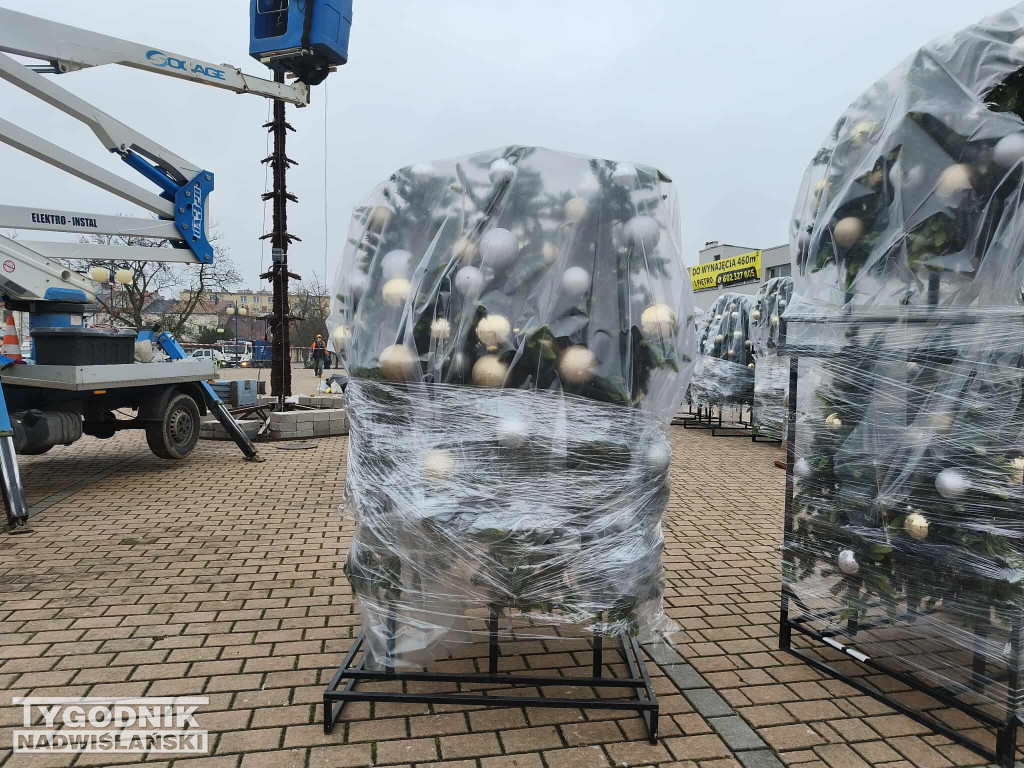 Ustawianie choinki na Pl. Bartosza Głowackiego