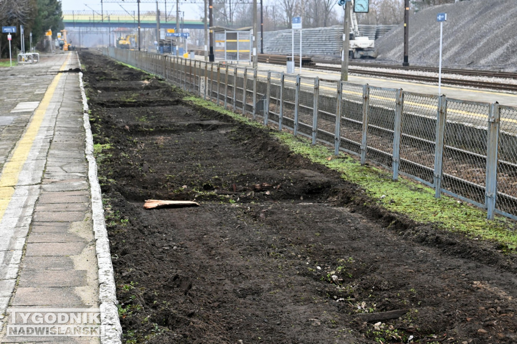 Konferencja posła Rafała Webera na dworcu PKP w Tarnobrzegu